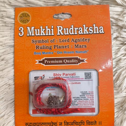 ৩ মুখী রুদ্রাক্ষ