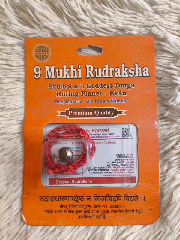 ৯ মুখী রুদ্রাক্ষ