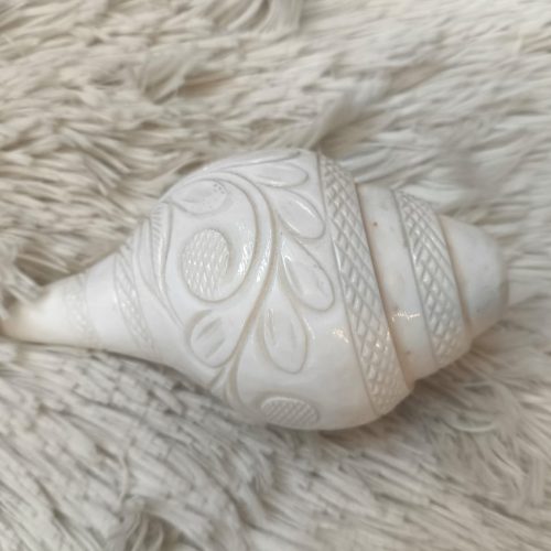 অরিজিনাল ইন্ডিয়ান শঙ্খ