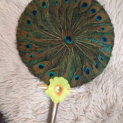 ময়ূরের পাখনার পাখা বড় সাইজ ১ পিস